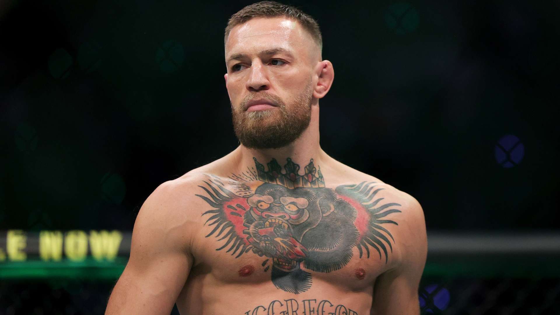 注于比赛 注于比赛