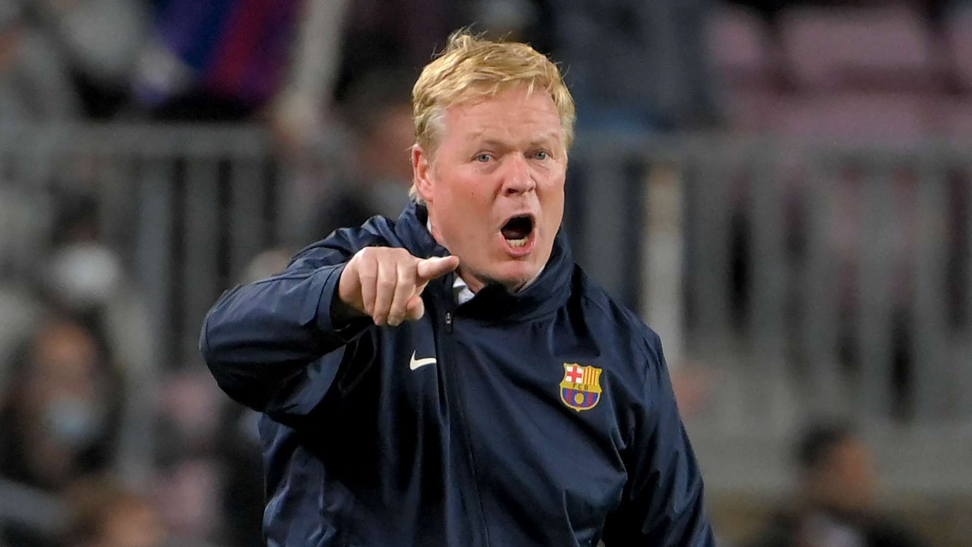 他们不仅教 他们不仅教