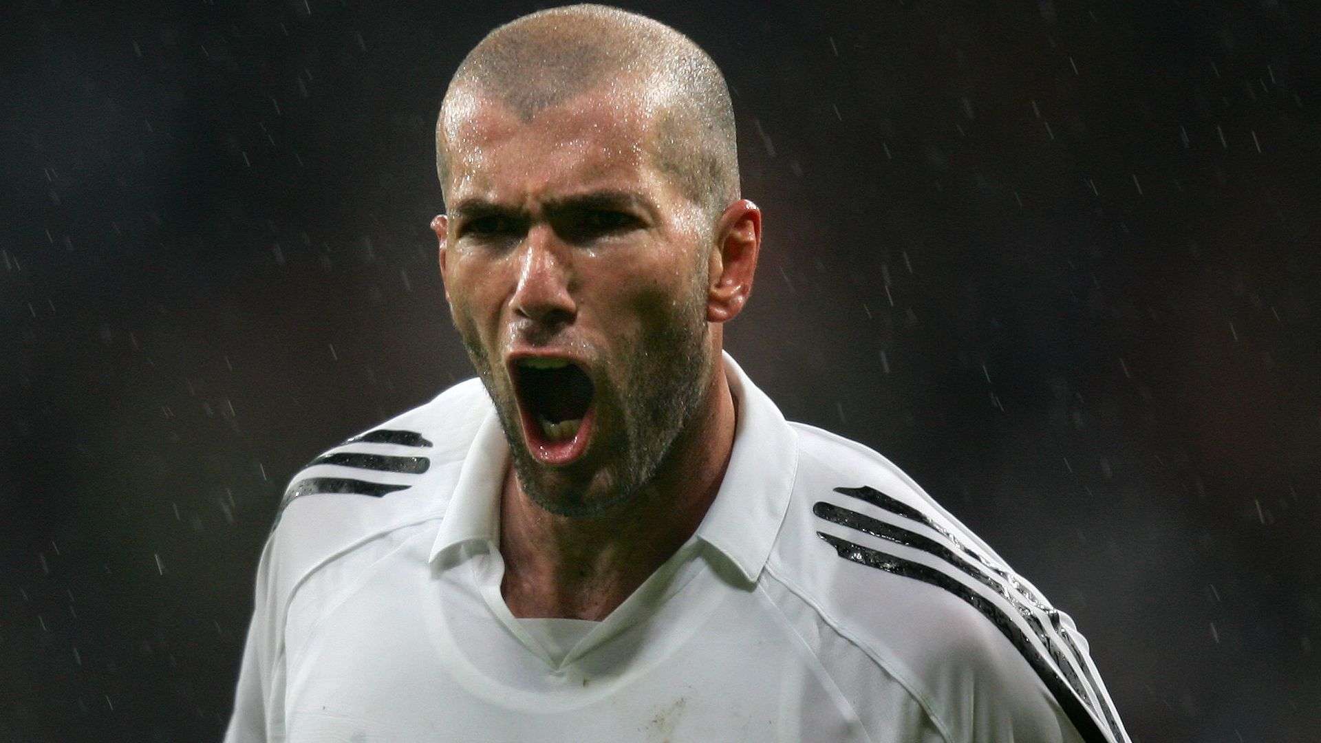 能力令人印 能力令人印